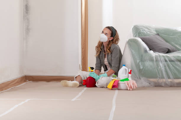 Reliable Mold Inspection And Testing contractor in Lowell, OR by Car Mold Remediation